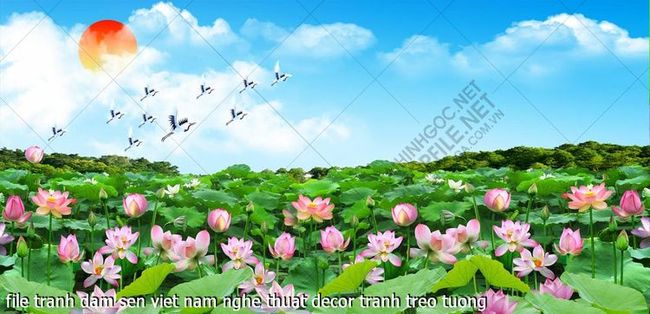 file tranh dam sen viet nam nghe thuat decor tranh treo tuong